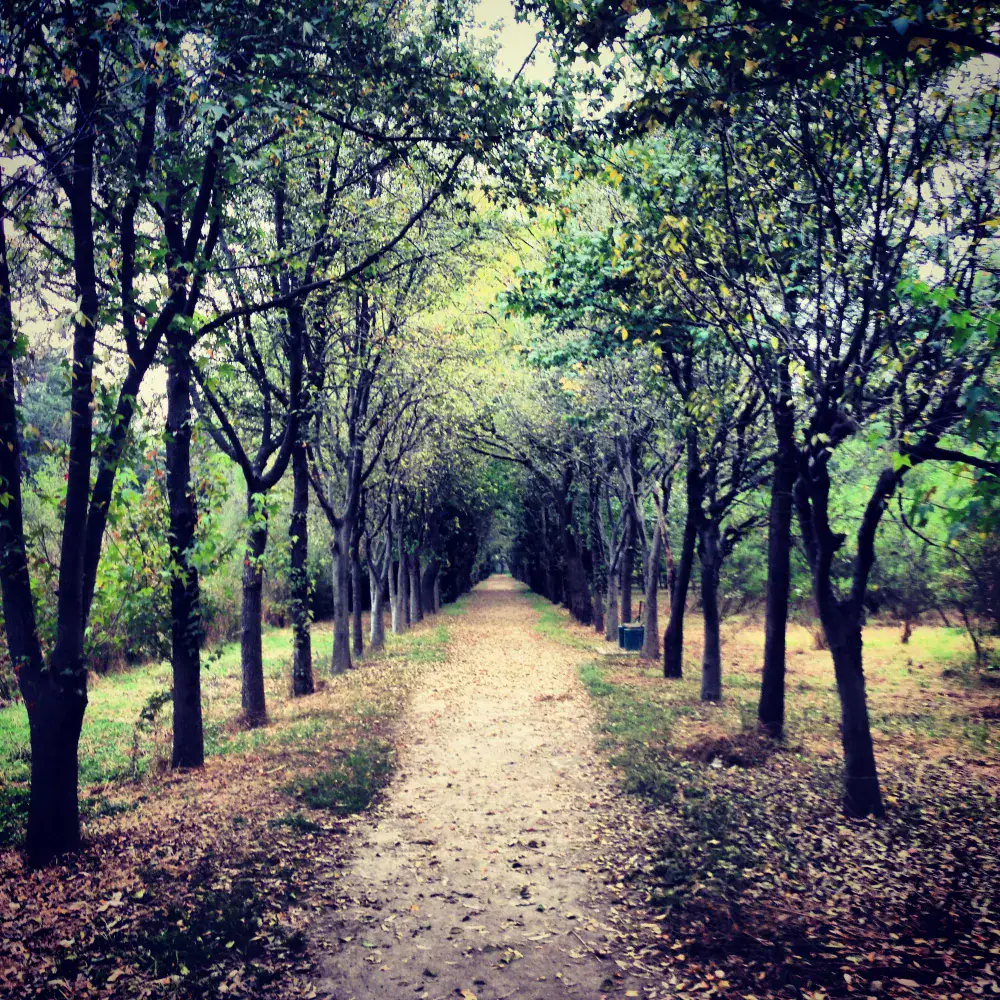 Días que fluyen: sin madrugones absurdos ni carreras entre puntos.