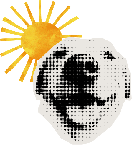 Puedes viajar en grupos reducidos con tus amigos, y siempre de manera privada, premium y flexible.