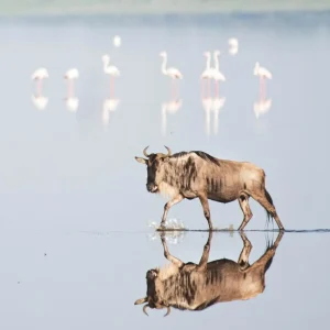 Tanzania y Zanzíbar. Sintiendo el corazón de África